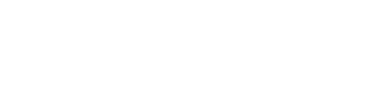 Neurashi Logo
